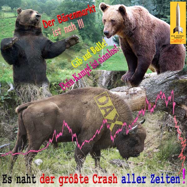 SilberRakete Baerenmarkt nah Bulle aufgeben Kampf sinnlos DAX 30Jahre Groesster Crash aller Zeiten