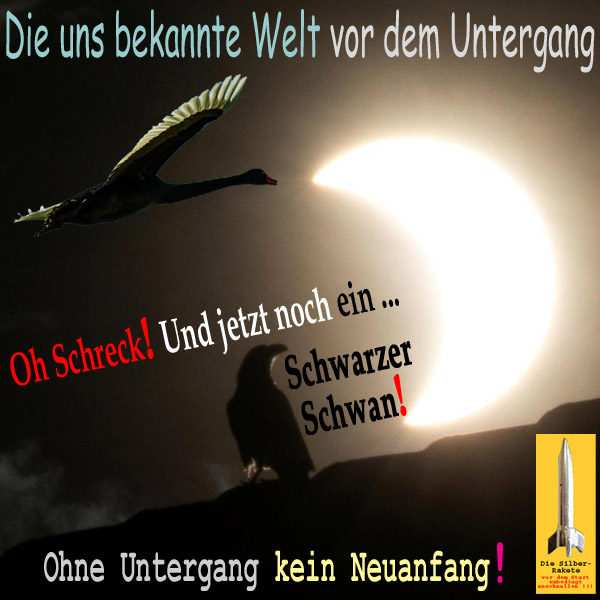 SilberRakete Bekannte Welt vor Untergang Sonnenfinsternis Rabe Schreck Schwarzer Schwan Neuanfang