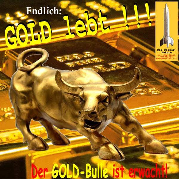 SilberRakete Endlich GOLD lebt Der GOLD Bulle erwacht