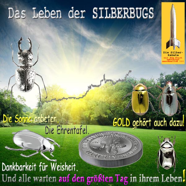 SilberRakete Leben SILBERBugs Sonne anbeten GOLD dazu Ehrentafel Dankbarkeit Weisheit Warten Tag