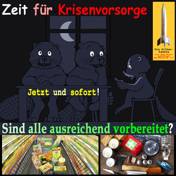 SilberRakete Zeit fuer Krisenvorsorge Jetzt sofort Alle ausreichend vorbereitet