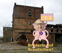 DH-Bruederle_Aufschwung_XXL