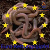 DH-Euro_Rettungsgipfel_Worms