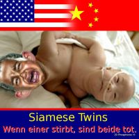DH-USA_China_Siamese_Twins