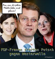 DH-Westerwelle_verpruegelt