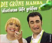 FW-gruene-idiotistan-cem