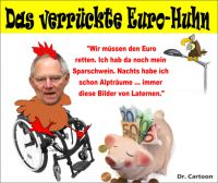 FW-schaeuble-rettet-euro-1