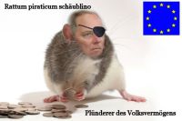 PW-rattus-schaeublino