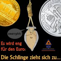 DH-Euro_in_der_Schlinge