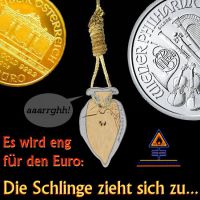 DH-Euro_in_der_Schlinge