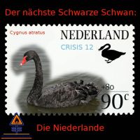 DH-Niederlande_Black_Swan
