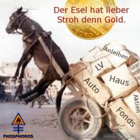 DH_Esel_Stroh_Gold