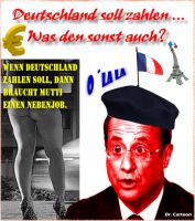 FW-frankreich-hollande-de-zahlen