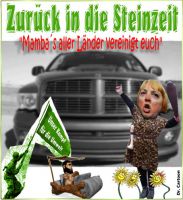 FW-gruene-autoverzicht