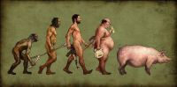 Menschliche_Evolution