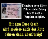 OD-Flensburg-Euro-Crash