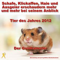 PL-Goldhamster