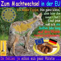 SilberRakete_EU-Machtwechsel-Zypern