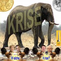 SilberRakete_Elefant-Welche-Krise