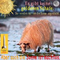 SilberRakete_Goldenes-Schaf-Sonne