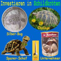 SilberRakete_Investieren-in-Schildkroeten