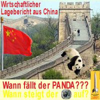 SilberRakete_Lagebericht-China-Panda
