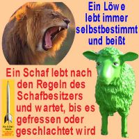 SilberRakete_Loewe-Schaf