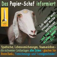 SilberRakete_Papierschaf-Geldanlage-geschoren2