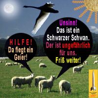 SilberRakete_Schafe-Geier-Schwan2