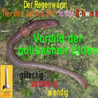 SilberRakete_Tier-2011-Regenwurm-Eliten