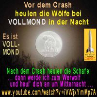 SilberRakete_Vollmond-Wolf-Nacht2