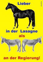 AK-Lieber-Pferd-in-der-Lasagne-als-Esel-an-der-Regierung