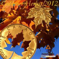 DH-Goldener_Herbst_2012
