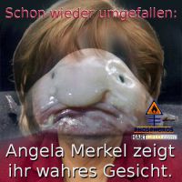 DH-Merkel_Blobfish