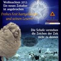 DH-Weihnacht_12_Stern_und_Schafe