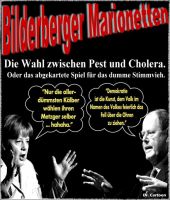 FW-bundestagswahl-pest-cholera-2