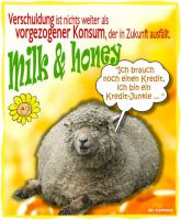 FW-sheep-milk-honey