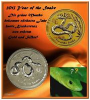 GJ-YearofSnake2013