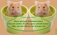 HK-Hamster-Lieblingstiere-der_Politikdarsteller