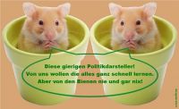 HK-Hamster-Lieblingstiere-der_Politikdarsteller