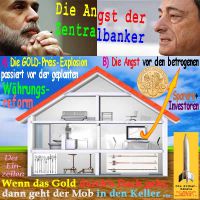 SilberRakete_Angst-Zentralbanker-Draghi-Bernanke-Haus-Gold-durch-Dach-Mob-Keller