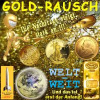 SilberRakete_GOLD-Rausch-Welt-weit-Muenzen-Barren-Kaefer2