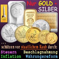 SilberRakete_GOLD-SILBER-Schutz-vor-staatlichem-Raub
