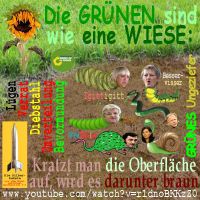 SilberRakete_GRUENE-Wiese-braunes-Ungeziefer2