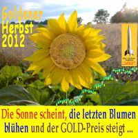 SilberRakete_Goldener-Herbst-Sonnenblume-Goldpreis2