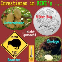 SilberRakete_Investieren-in-KIWIs