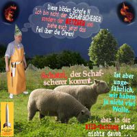 SilberRakete_Schafe-Metzger-Schafscherer-Wolle-Dollar-Euro-brennen-BILD-Zeitung