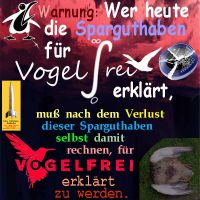 SilberRakete_Sparguthaben-vogelfrei-selbst-toter-Vogel4