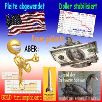 SilberRakete_USA-Pleite-Dollar-Feuer-GOLD-Mann-steigt-Schwarzer-Schwan