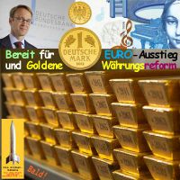 SilberRakete_Weidmann-bereit-Goldene-Waehrungsreform-DM2-neu-Goldmark2